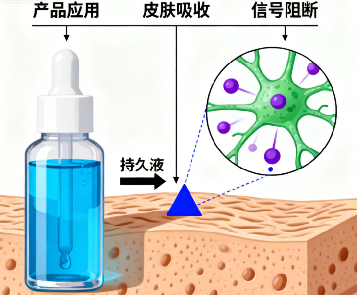 持久液的效果和作用机制